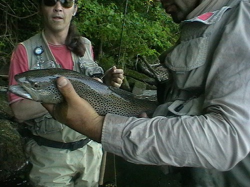 Chasseurs de rivières de passage sur les Gaves